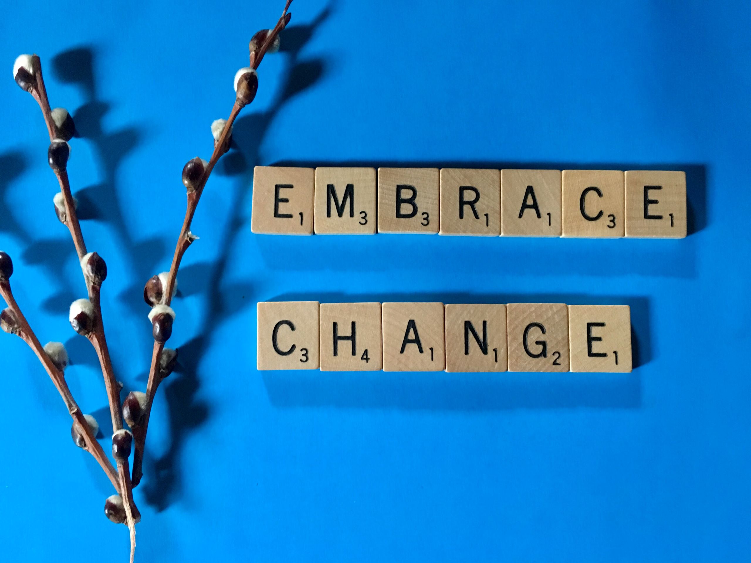 Cover image for The Evolution of PMBOK: Welcome to PMBOK7